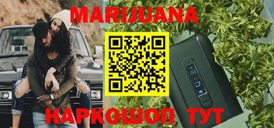 шишки Прокопьевск