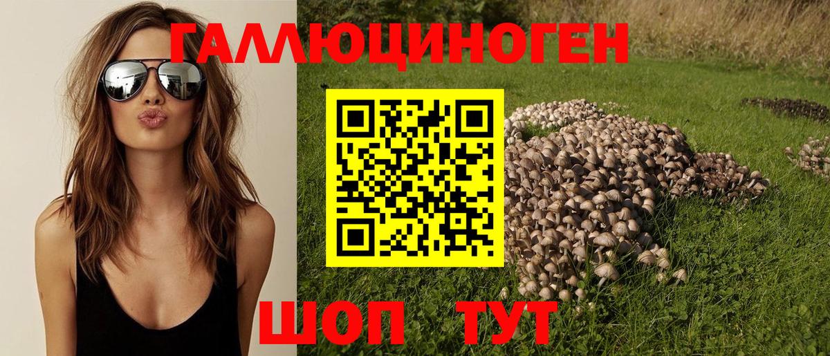 Псилоцибиновые грибы прущие грибы  Вход с VPN  Каменск-Шахтинский 