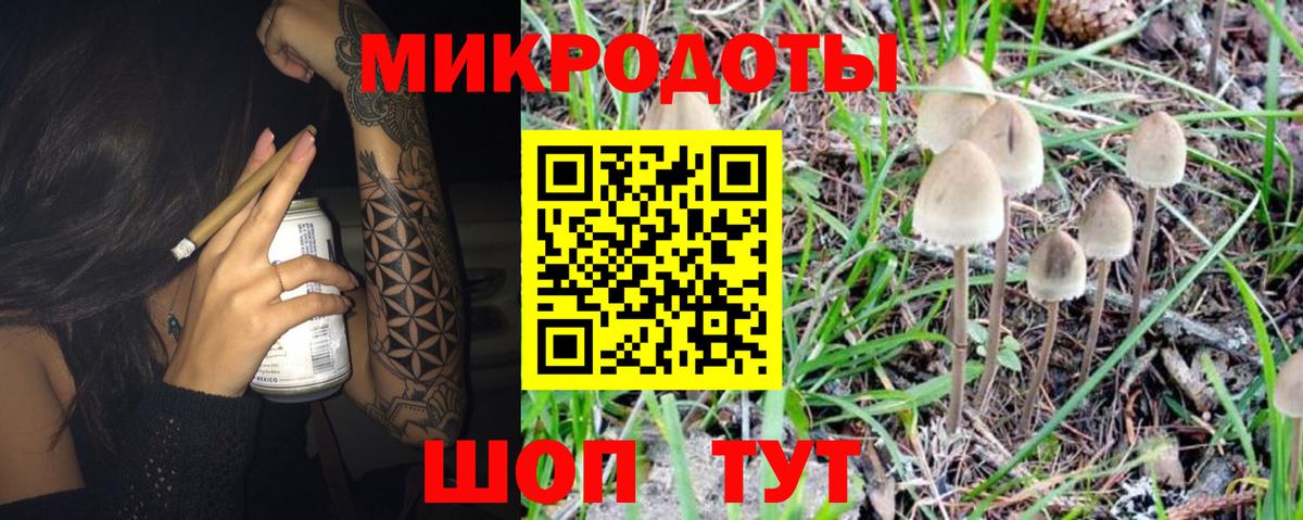 Псилоцибиновые грибы GOLDEN TEACHER Каменск-Шахтинский